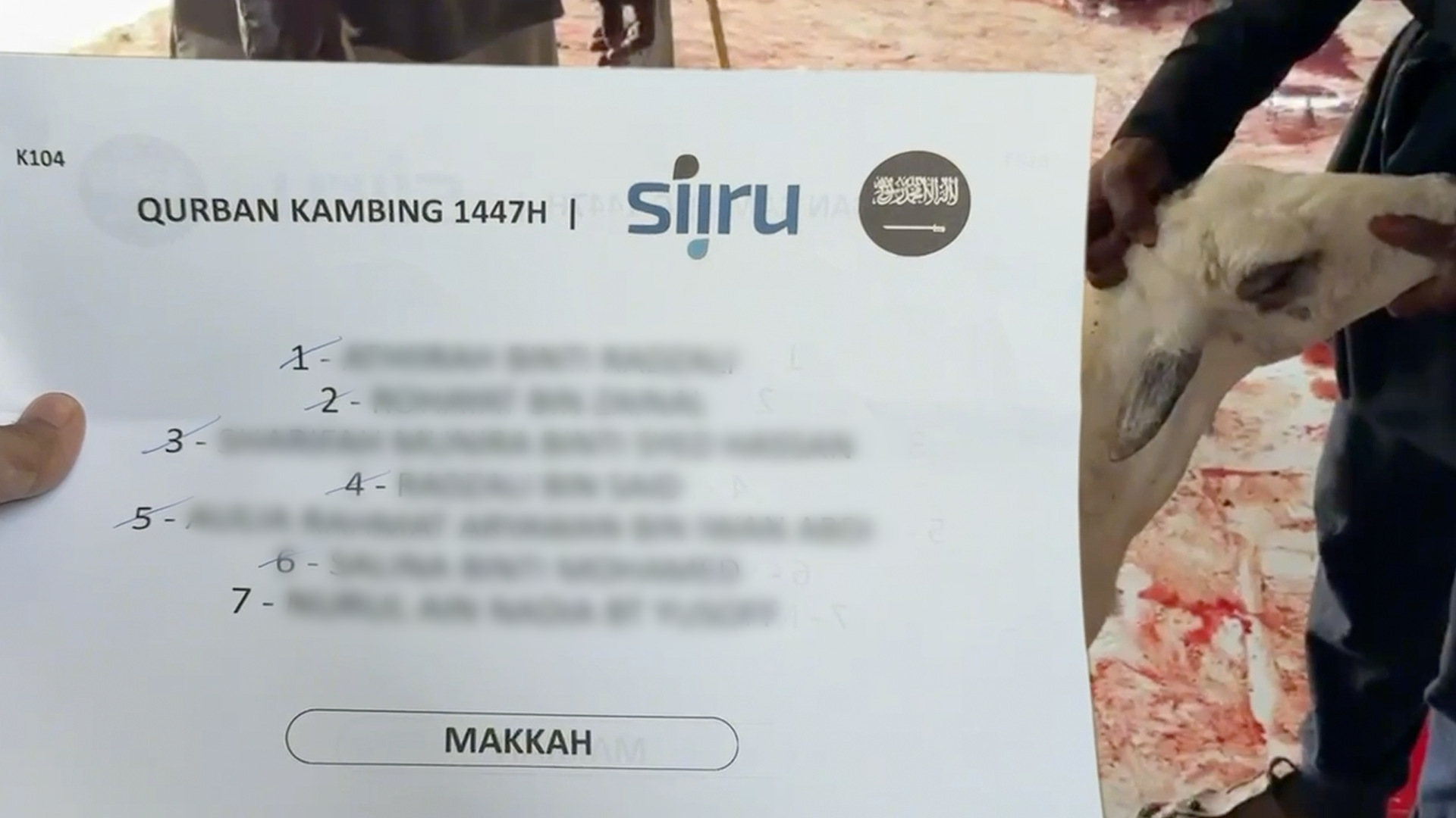Qurban, aqiqah, and dam services in Makkah